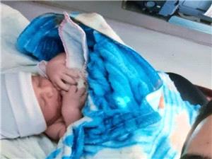 تولد نوزاد عجول بابلی در منزل