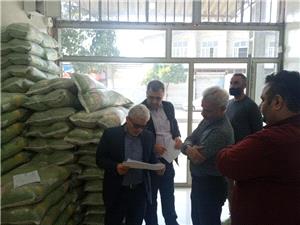 بازديد از واحدهاي سورتينگ و انبارهاي نگهداري برنج در شهرستان بابل