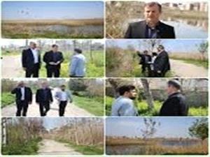 شهردار بابل طرح تحول تالاب گل نيلوفر  را ابلاغ کرد