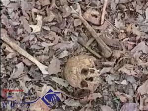 تأييد کشف اسکلت انسان در علي آبادکتول