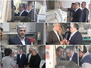 بازديد سرزده مديرکل دفتر هماهنگي امور اقتصادي استانداري مازندران از کارخانجات آرد استان