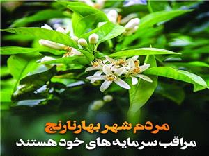 اين روز‌ها هواي شهر بابل مملو از عطر بهار نارنج است/  اين عطر از باغ‌ها و درختان نارنج در کنار گوشه‌هاي شهر به مشام مي‌رسد