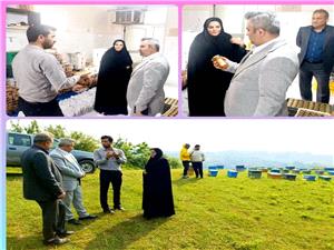 توسعه کسب‌وکارهاي کوچک رمز ماندگاري اقتصاد در قائم‌شهر است