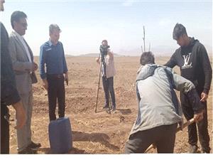 ايجاد اشتغال براي بيش از 5 هزار نفر با اجراي طرح‌هاي توسعه باغات در آذربايجان شرقي