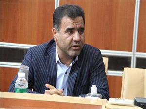 حمايت بهزيستي ايلام از 600 خانوار داراي فرزند چند قلو