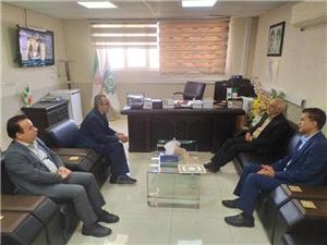 نيمي از مددجويان کميته امداد ايلام زنان سرپرست خانوار هستند