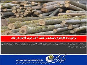 برخورد با غارتگران طبيعت و کشف 3 تن چوب قاچاق در بابل