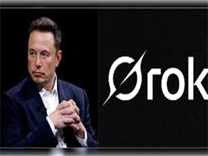 Elon Musk`s AI company says Grok chatbot focus on South Africa`s racial politics was `unauthorized`