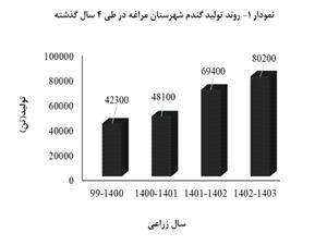 افزايش پيوسته توليد گندم ديم در مراغه طي چهار سال اخير