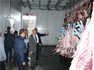 تمهيدات سازمان جهاد کشاورزي استان براي تامين دام در ايام عيد قربان