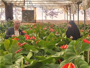حمايت از توليدکنندگان و کار آفرينان راهکاري موثر براي تحقق شعار سال است