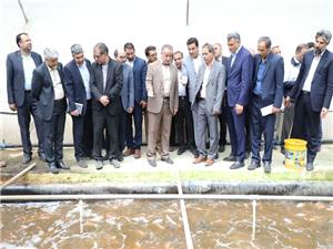 بازديد استاندار خراسان جنوبي از مجتمع کشت و صنعت اميري