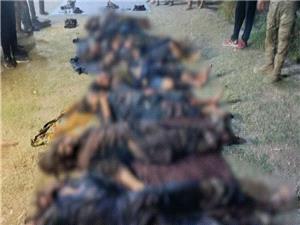 17 عنصر تحریک طالبان پاکستان کشته شدند