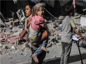 مصر، اسراییل را مسئول کامل فجایع غزه دانست