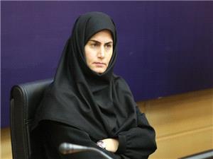 برقراري پروازهاي خارجي از فرودگاه زنجان پيگيري مي‌شود
