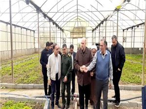 بازديد از مجموعه پرورش گل و گياه دارويي در آمل