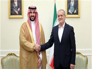 ديدار وزير دفاع عربستان با رئيس جمهور