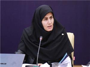 تکميل پتروشيمي زنجان به 300 ميليون يورو سرمايه نياز دارد
