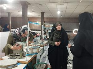 تأکيد مديرکل امور زنان وخانواده استانداري بر لزوم حمايت از هنرستان دخترانه