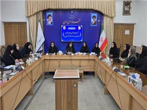 نشست بانوان کارآفرين و فعالان حوزه خانواده در رزن