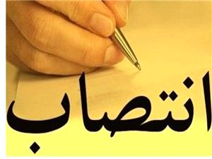 8 انتصاب جديد در استان بوشهر انجام شد