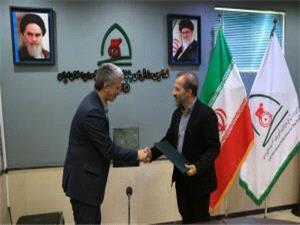 آغاز فعالیت رشته پارا سنگ نوردی در فدراسیون جانبازان و توان‌یابان/ گنجعلی پور سرپرست انجمن شد