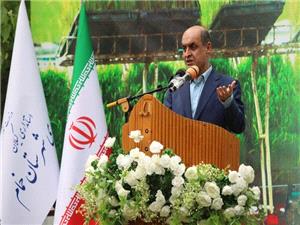 آغاز کشت برنج در 238 هزار هکتار از اراضي گيلان