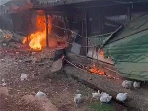 اسرائیل صاحب یک مرغداری را در لبنان به شهادت رساند