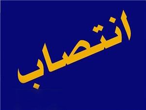 انتصاب "مژگان شريفي" به عنوان مديرکل دفتر امور اجتماعي خراسان جنوبي