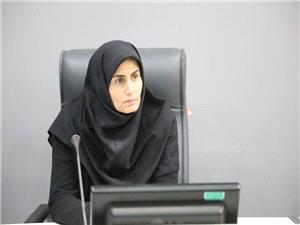 رايزني با معاون وزير اقتصاد در راستاي تکميل پتروشيمي زنجان