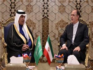 دیپلماسی پارلمانی پشتیبان دیپلماسی بین دولت‌هاست/ موانع همکاری‌های اقتصادی دو کشور باید برطرف شود/ همکاری هر چه بیشتر تهران-ریاض به نفع مردم و کشورهای منطقه است
