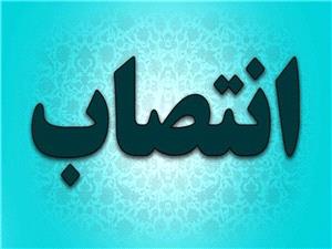 معاون برنامه ريزي و توسعه فرمانداري شهرستان بيرجند منصوب شد
