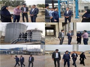 بازديد از طرح‌هاي اقتصادي پيشران و اولويت‌دار سند توسعه شهرستان پلدختر