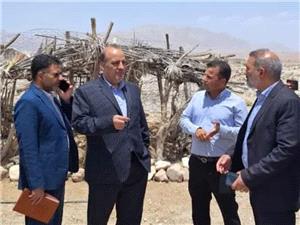 ارزوئيه قطب فرآوري محصولات زراعي و غلات استان خواهد شد
