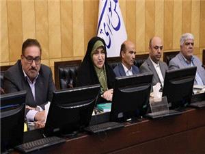 رفيعي: محيط زيست در نگاه سياست گذاران در اولويت دست چندم قرار دارد/ نگاهداري: محيط زيست ميزبان توسعه کشور است