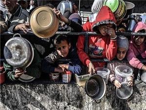 شیوع گرسنگی و قحطی پشت پرده حمله به مراکز توزیع غذا در غزه است/ سازمان‌های بشردوستانه سکوت نکنند