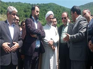 پژمانفر: ترک فعل آشکار برخی کارکنان سازمان منابع طبیعی در قطع درختان جنگل‌های هیرکانی