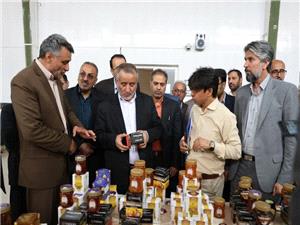 بازديد استاندار خراسان جنوبي از سه واحد توليدي بخش کشاورزي استان