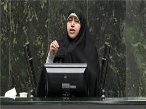 وزرا پاسخگوی ترک فعل خود در موضوع ناترازی ها باشند / کم کاری وزارت مسکن در تحقق اهدای زمین‌های سه فرزندی
