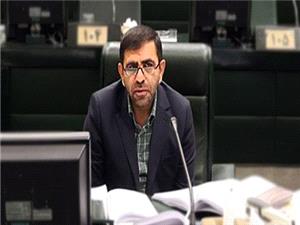 وزیر جهادکشاورزی در لغو مصوبه خرید کلزا و دانه‌های روغنی توسط بخش خصوصی تجدیدنظر کند