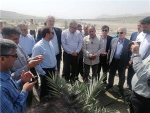 مجلس از سرمايه‌گذاري در پروژه‌هاي کشاورزي حمايت مي‌کند/ نخلستان جاسک الگويي براي توسعه کشاورزي