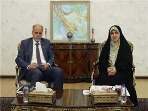 مجلس ایران متمرکز بر برنامه تامین بودجه برای کاهش آلودگی هوا و مدیریت ریزگردها است