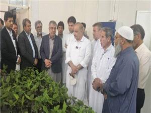 بازديد اعضاي کميسيون کشاورزي مجلس از ايستگاه تحقيقات کشاورزي بمپور؛ تأکيد بر توسعه توليد نهال موز و خرماي مجول