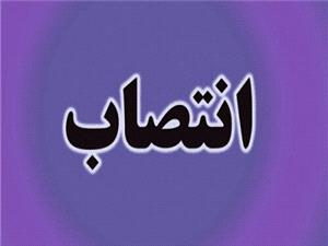 دستيار جوان استاندار خراسان جنوبي منصوب شد
