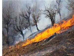 آتش‌سوزي وسيع در مراتع شهرستان دشتستان