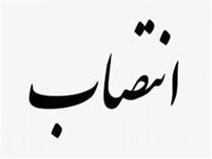 فرماندار شهرستان درميان منصوب شد