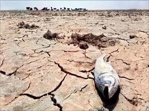 تشکيل کارگروهي براي بررسي وضعيت بحراني بندعليخان/ تالاب بند عليخان در يک قدمي مجنون شدن