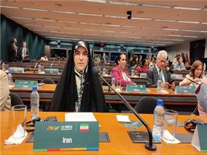 زنان، کنشگران کلیدی در معماری آینده پایدار بریکس هستند