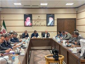 کفش تبریز یک برند شناخته‌شده است