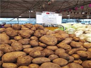 روزانه 170 تا 180 تن سیب زمینی در میادین و بازارهای میوه و تره‌بار توزیع می‌شود/ درخواست از وزارت جهاد برای توزیع روزانه 300 تن سیب زمینی در میادین